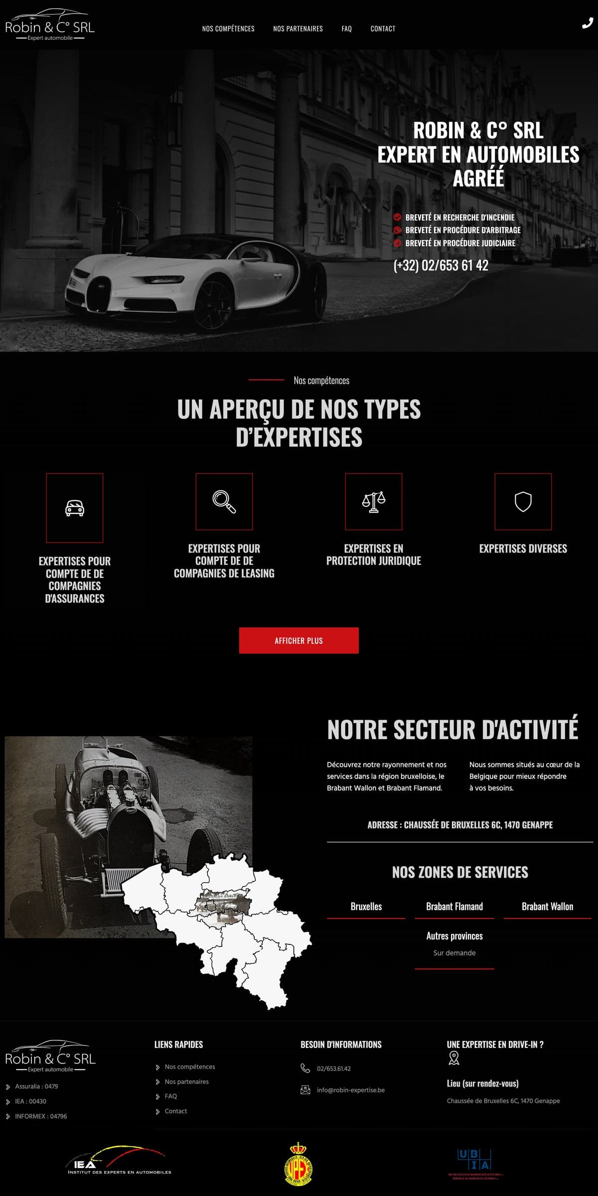 Robin Expertise, capture du site